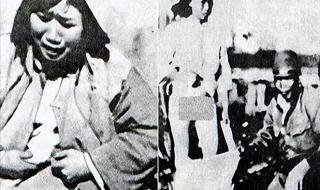 无可奈何的恋歌 无可奈何的恋歌