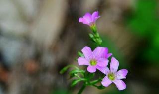 时光倒流之重来 时光倒流之重来