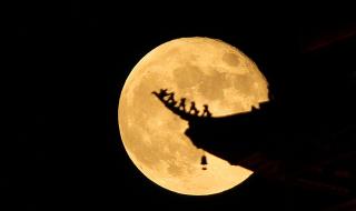 我本有心向明月 我本有心向明月