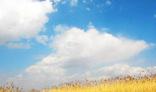 下雨的作文 下雨的作文