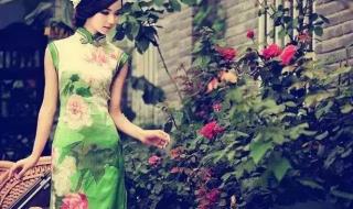 贤惠懂事的好媳妇 贤惠懂事的好媳妇