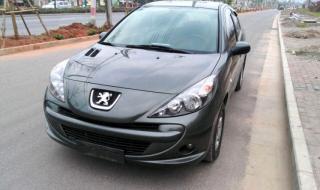 标志207价格 标志207价格