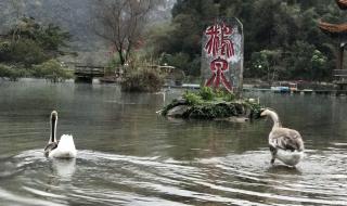 亚洲第一泉 亚洲第一泉