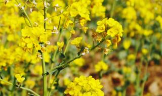 撞了一下腰 撞了一下腰