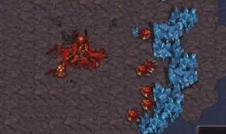 星际争霸RPG 星际争霸RPG