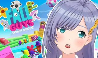 fallguys游戏 fallguys游戏