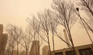 2024年大年初一天气 2024年大年初一天气