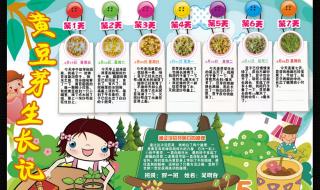 豆芽观察日记七天带图 豆芽观察日记七天带图