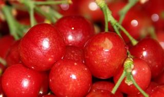 春水映梨花是啥意思 春水映梨花是啥意思