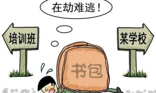 双减政策最新发布 双减政策最新发布