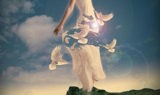 广场舞自由飞翔24步 广场舞自由飞翔24步